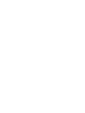 Solar Tree Stacked Logo